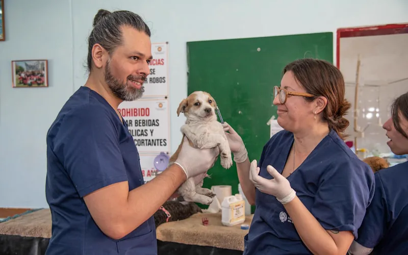 A vet talks a pet owner through a nutrition recommendation